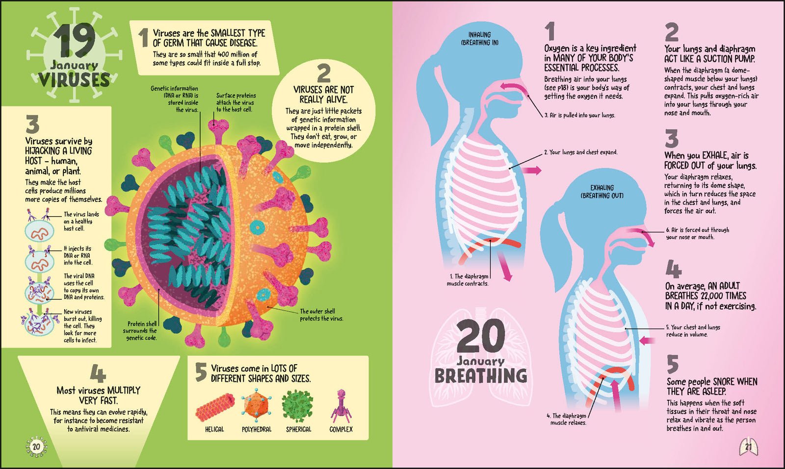 5 Facts a Day Science preview