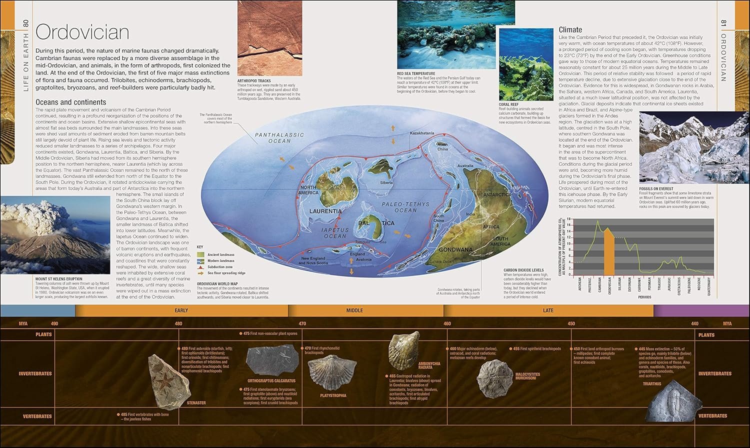 Dinosaurs and Prehistoric Life preview