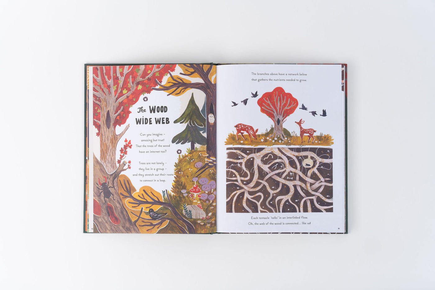 5 Minute Nature Stories preview