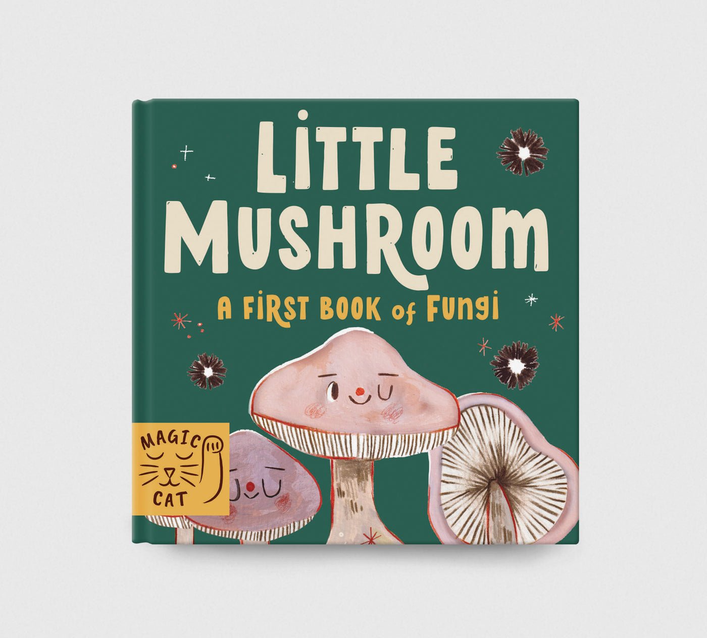 5 Minute Nature Story Box preview
