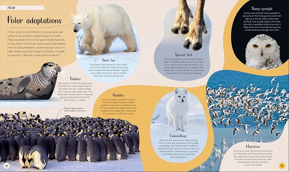 Earth's Incredible Habitats: Polar preview