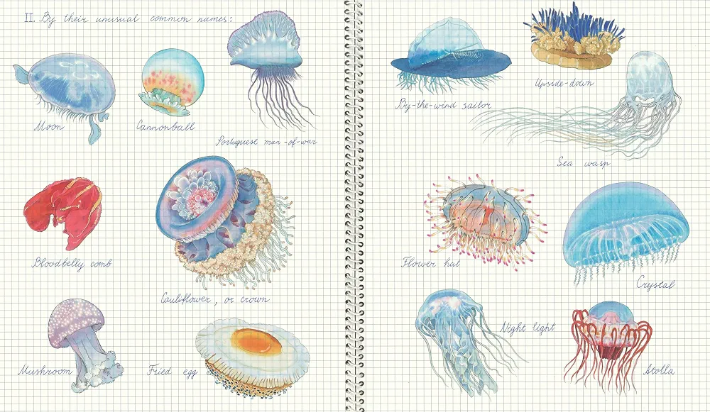 Fourteen Ways of Looking at Jellyfish preview