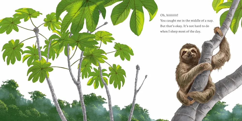 Hello, I'm a Sloth (Meet the Wild Things, Book 1) preview
