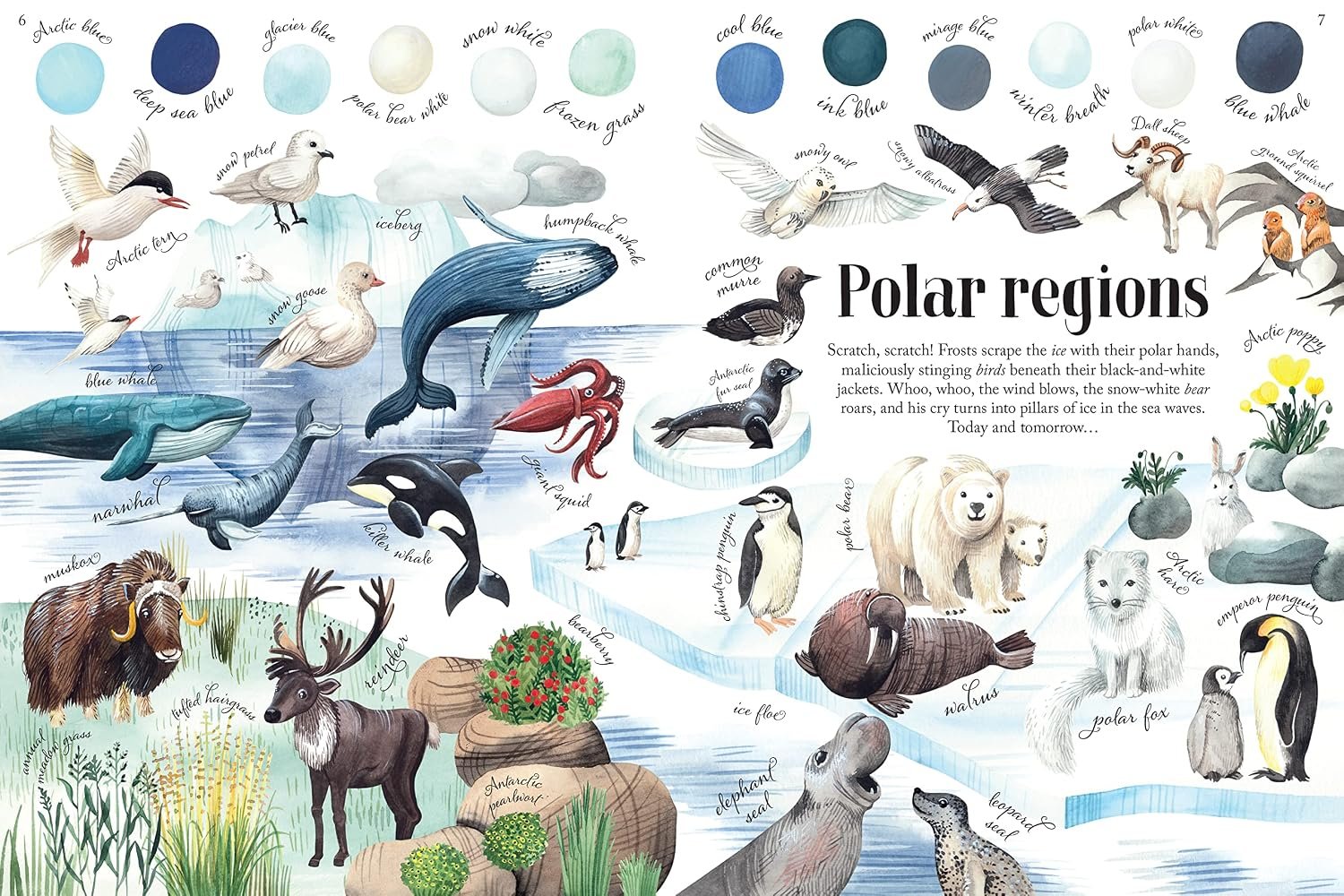 Colors of Habitats preview