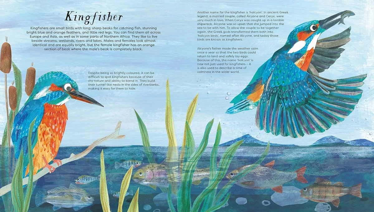National Trust: Birds of a Feather preview