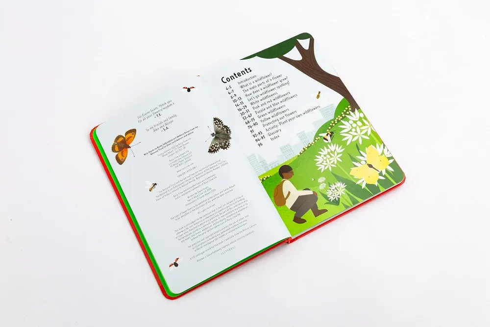 Out and About: Wildflower Spotter (National Trust) preview