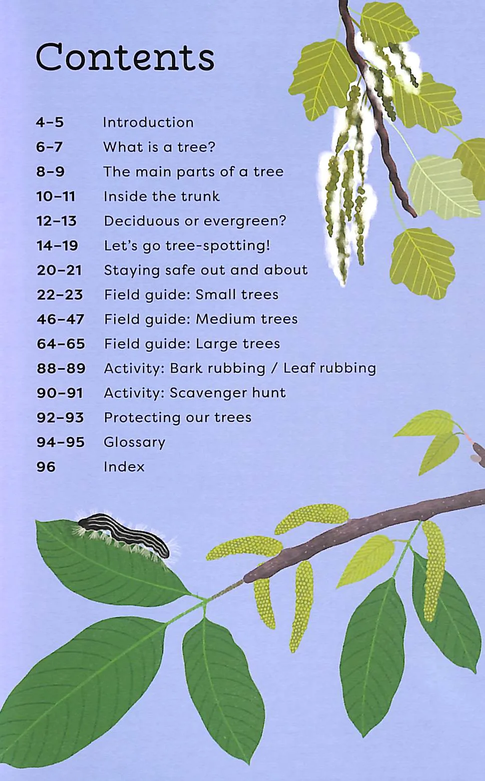 Out and About: Tree Explorer (National Trust) preview