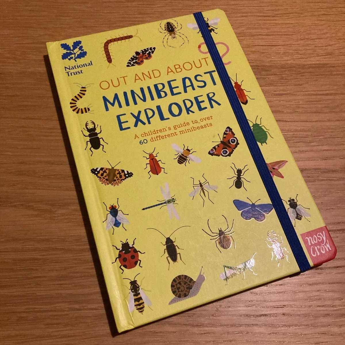 Out and About: Minibeast Explorer (National Trust) preview