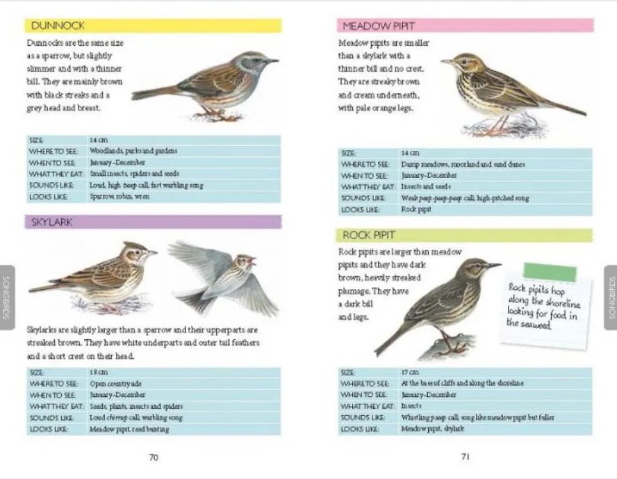 Out and about Bird Spotter preview