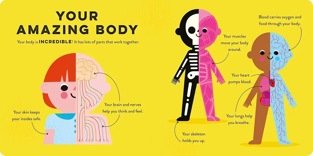 Whiz Kids: Human Body preview