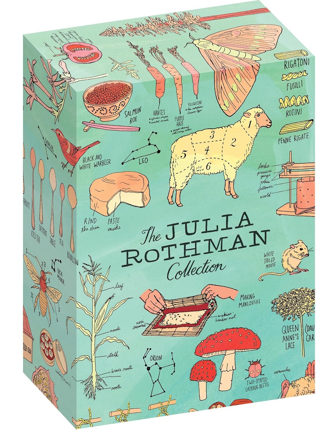 The Julia Rothman Collection preview