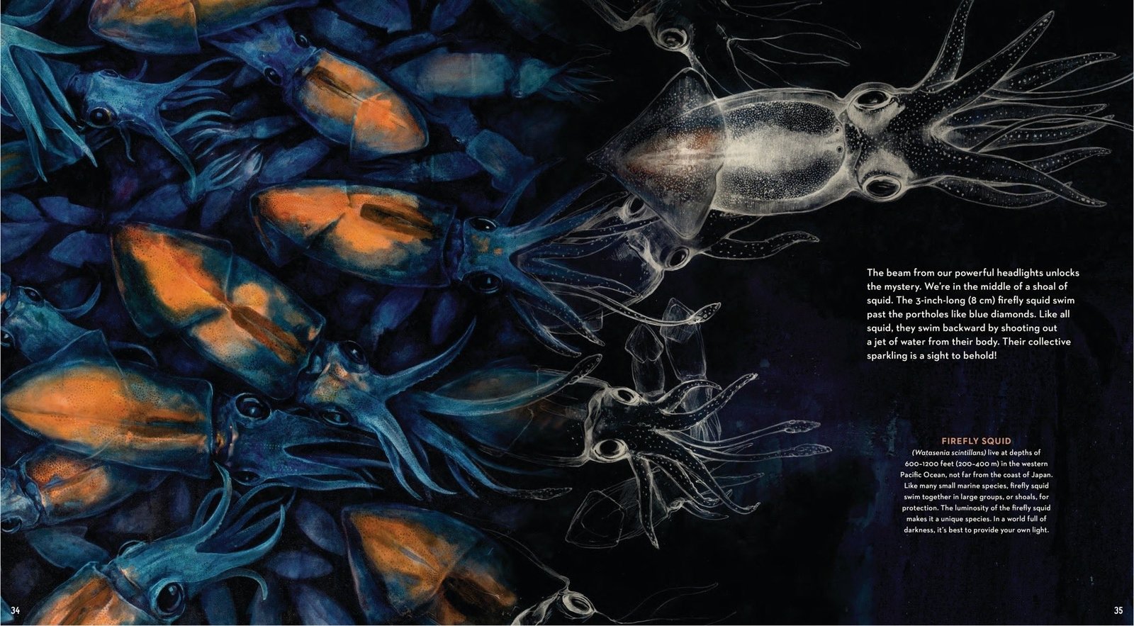 Into the Deep preview