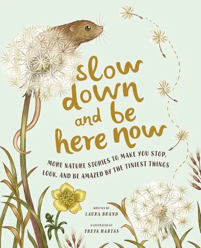 Slow Down and Be Here Now