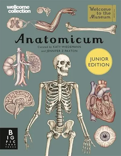 Anatomicum (Junior Edition)