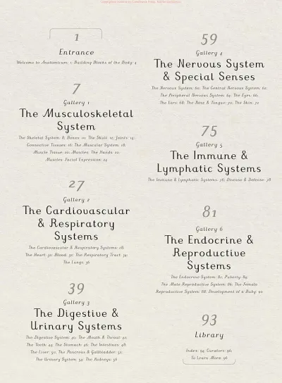 Anatomicum preview