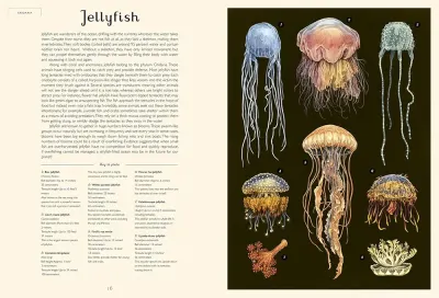 Oceanarium preview