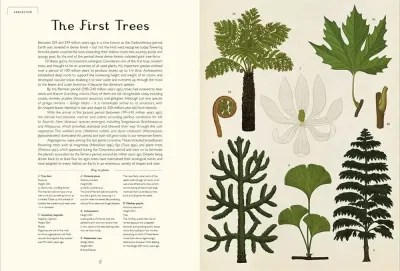 Arboretum preview