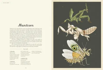 Insectarium preview