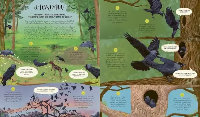 Wild Languages of Mother Nature preview