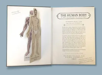 The Human Body preview