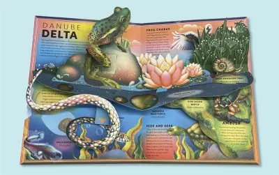 The Incredible Pop-Up Frog preview