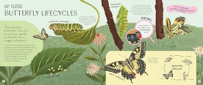 Minibeasts preview
