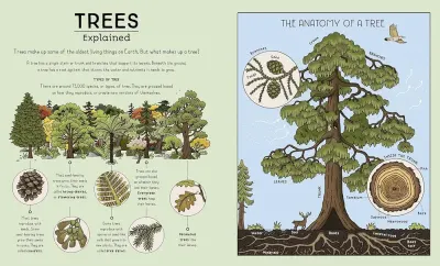 Nature Explained preview