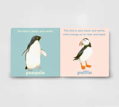 Look! a Bird! preview