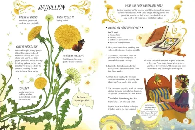 A Guide to Plants for Little Witchlings preview