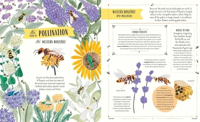 Buzz: A Family Guide to Bugs and Bees and How to Spot Them preview