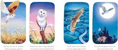 I Am Emily the Owl preview