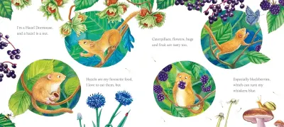 I Am Dandy the Dormouse preview