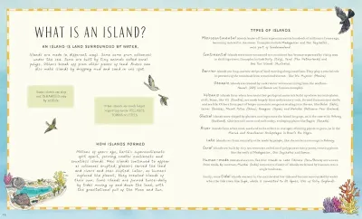 Once Upon an Island preview