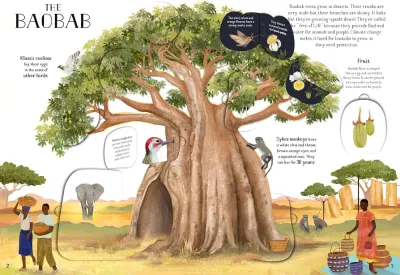 The Tree of Life preview