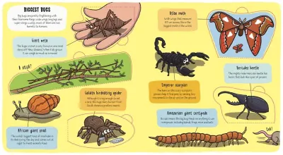 Little Explorers: Bugs preview