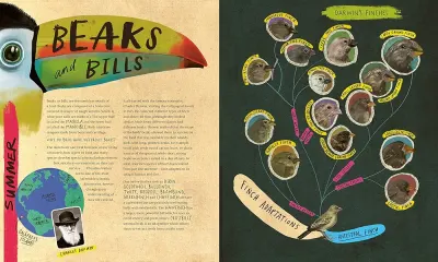 A Wild Child's Book of Birds preview