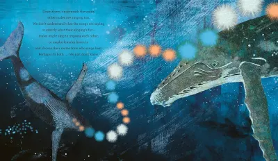 Whale Song preview