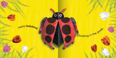 My First Pop-Up: Bugs preview