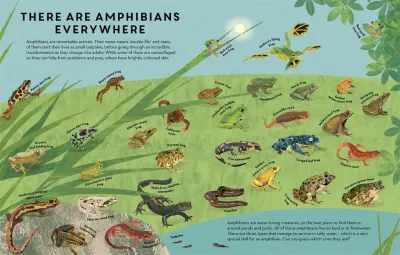There Are Amphibians Everywhere preview