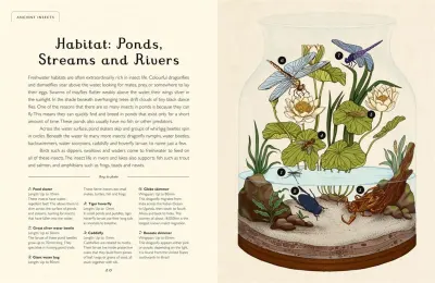 Insectarium (Junior Edition) preview