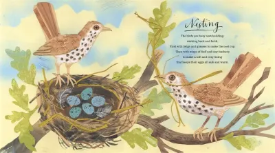 A First Book of Nature preview