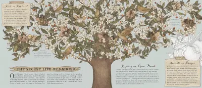 Natural History of Fairies preview
