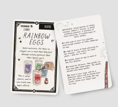 The Wizard's Box of Science Experiments: 25 magical activity cards preview