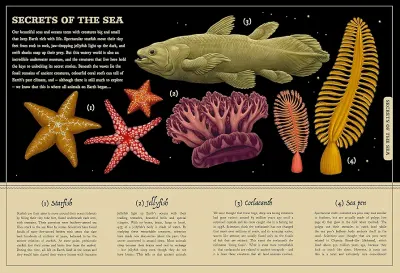 Secret History of Nature preview