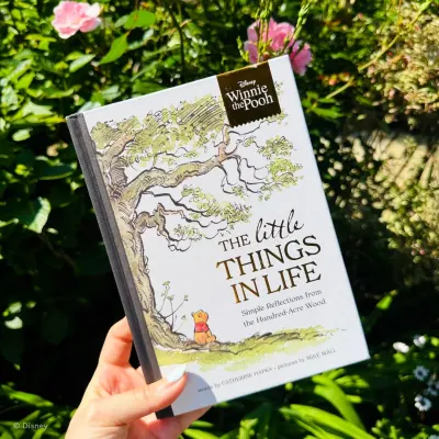 Winnie the Pooh: The Little Things in Life preview