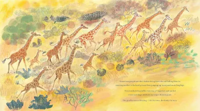 The Season of Giraffes preview