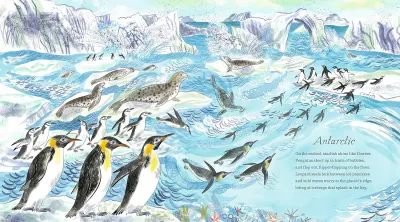 A First Book of the Sea preview