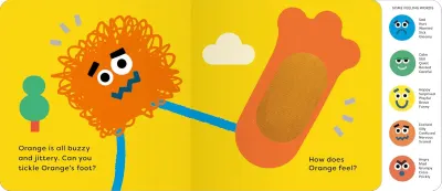 The Feelings Book: Touch-And-Feel Emotions preview