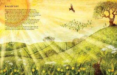 Brilliant Sun, Luminous Moon preview