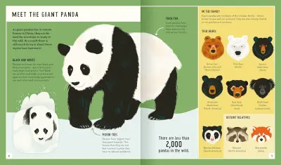 Giant Panda (Young Zoologist) preview
